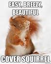 Image result for easy breezy cover squirrel