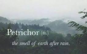 Image result for smell of earth after rain